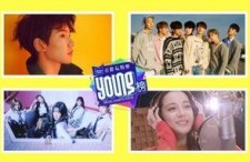 欧美日韩中文视频二区,多元文化盛宴，精彩内容盘点